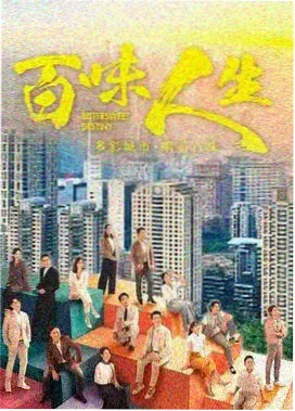 热门电视剧 都市情缘